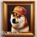 NFT of Famous Dogwifhat Meme Coin Dog Photo Fetches $25k in Auction